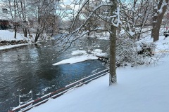 IMG_2945