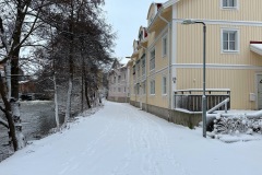 IMG_2970