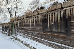 IMG_2974