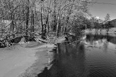 IMG_2953