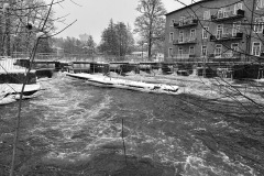 IMG_2962