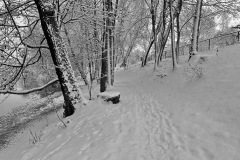 IMG_2980