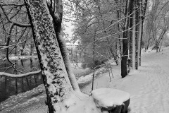 IMG_2981
