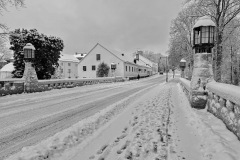 IMG_2983