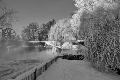 IMG_3001
