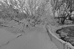 IMG_3002