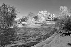 IMG_3003