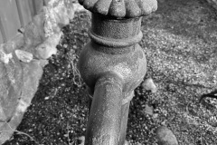 IMG_3077