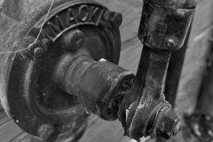 IMG_3082