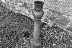 IMG_3359
