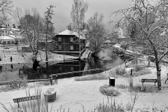 IMG_3522