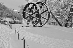 IMG_3524