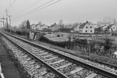 IMG_3646