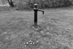 IMG_3777